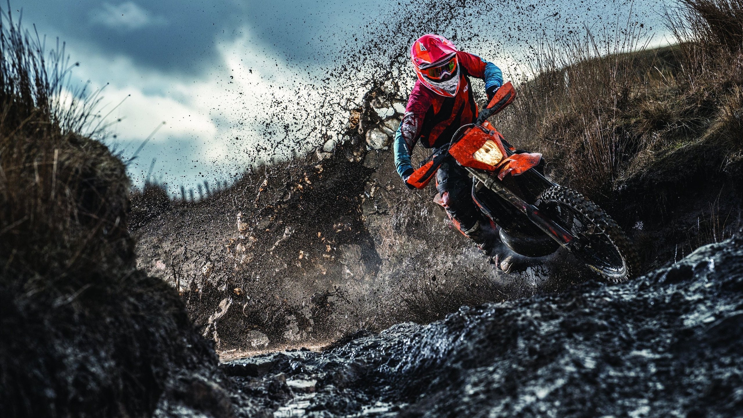 篮球运动员专项体能训练个体差异化方案设计，篮球队身体素质训练